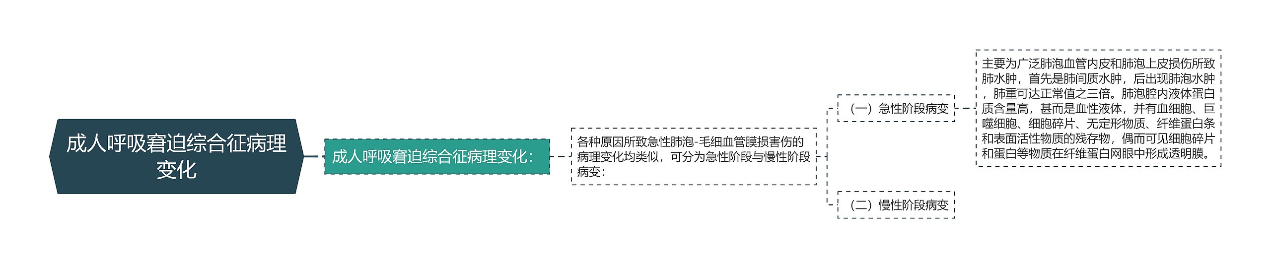 成人呼吸窘迫综合征病理变化