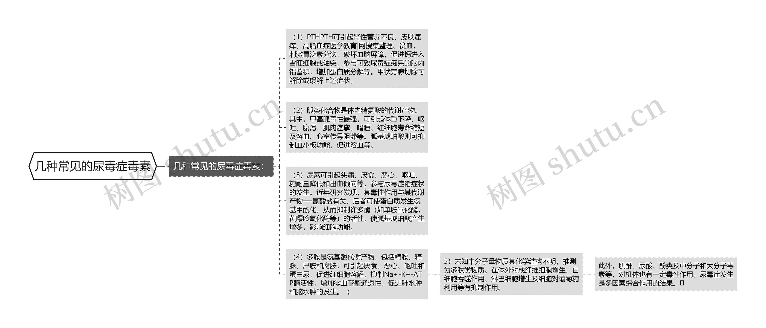 几种常见的尿毒症毒素思维导图