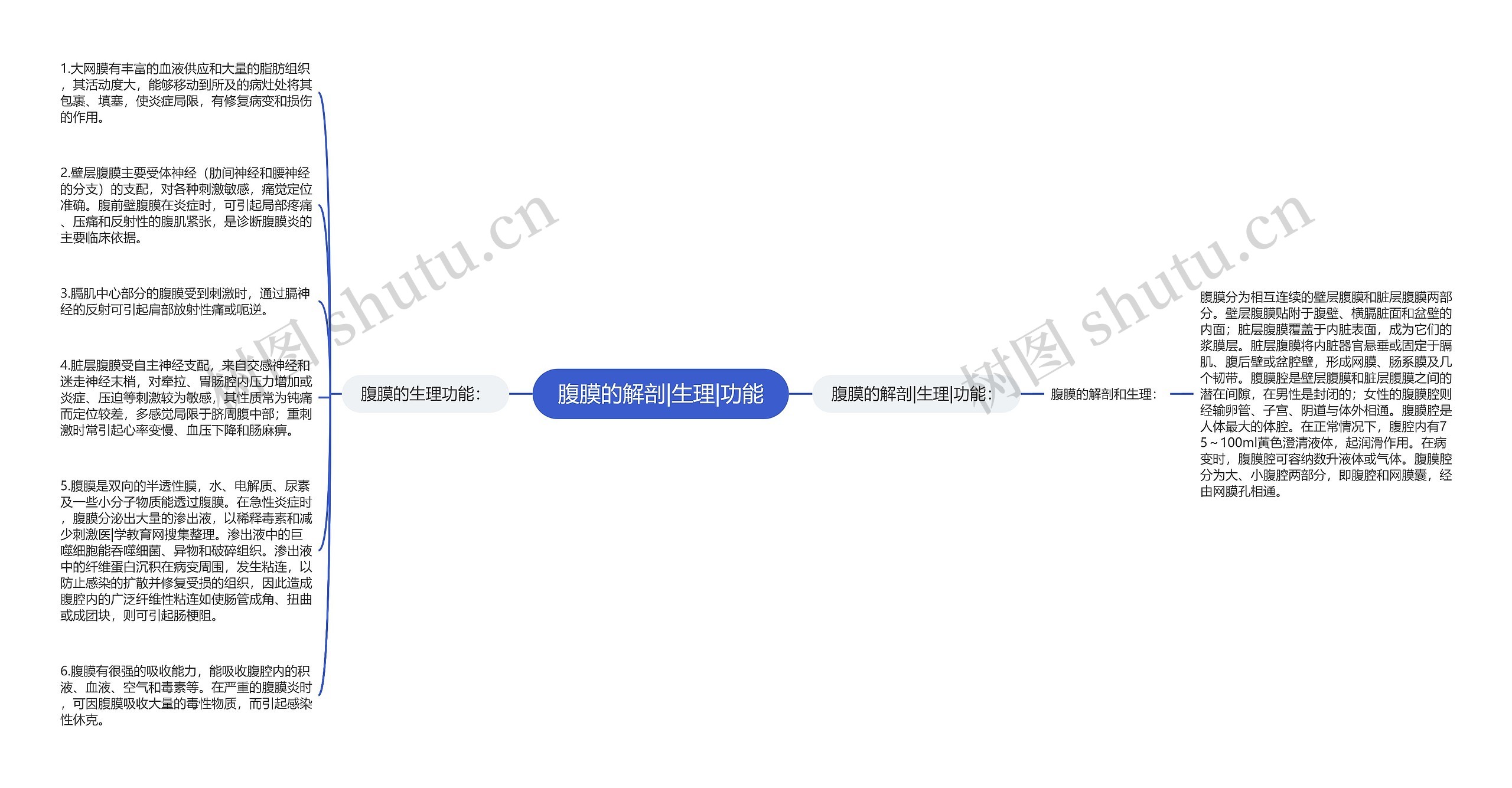 腹膜的解剖|生理|功能思维导图