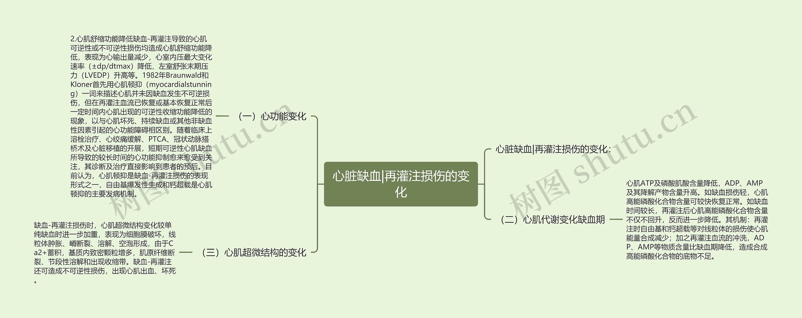 心脏缺血|再灌注损伤的变化思维导图