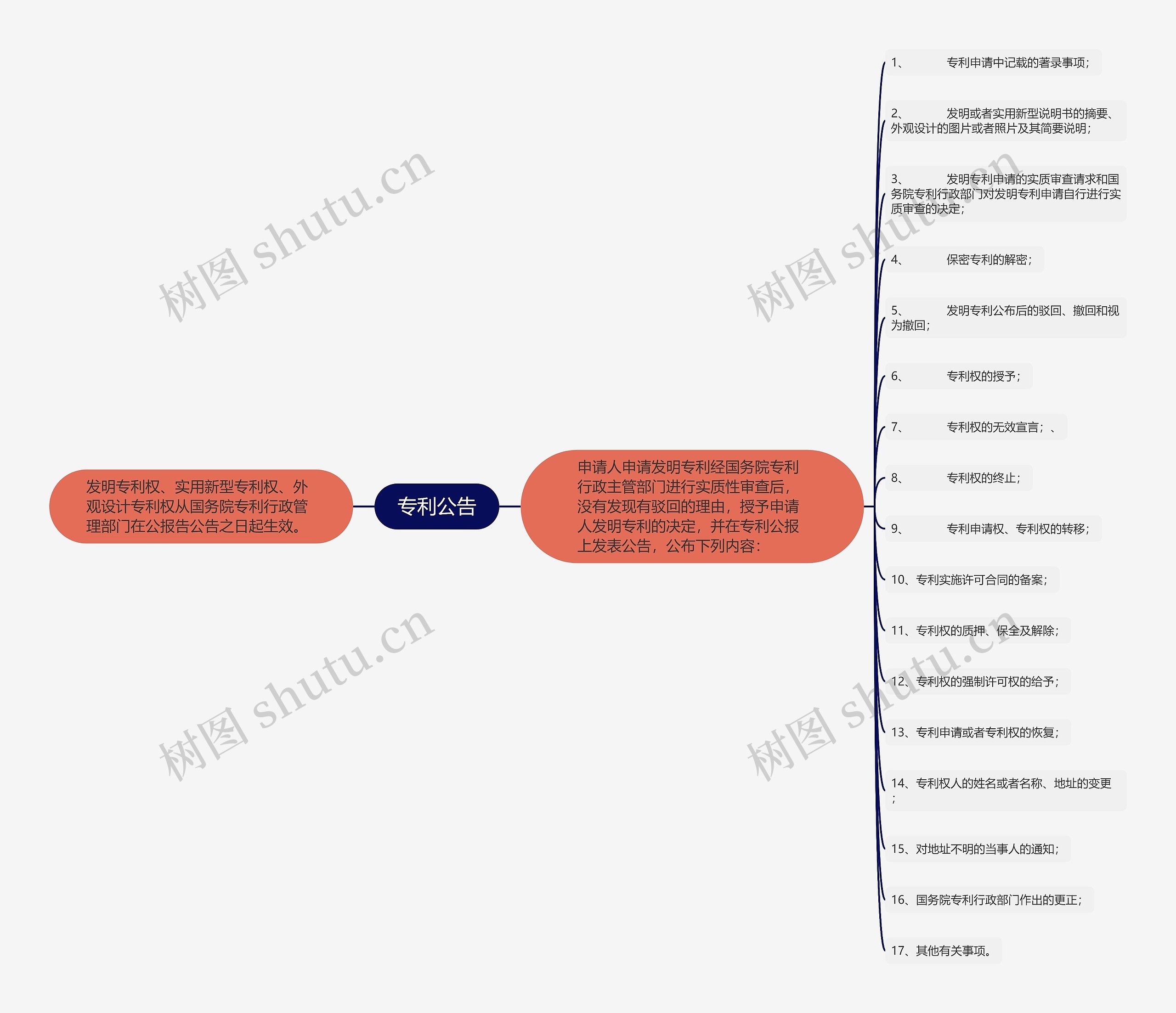 专利公告思维导图