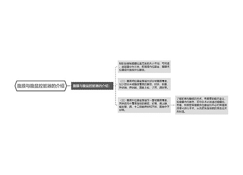 腹膜与腹盆腔脏器的介绍