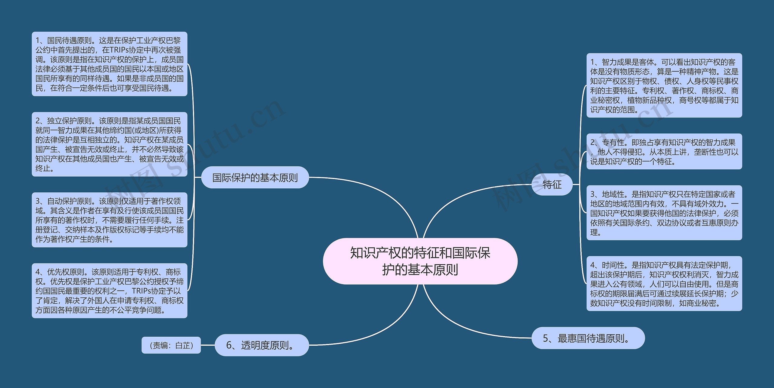 知识产权的特征和国际保护的基本原则思维导图