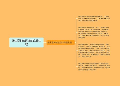 维生素Bl缺乏症的病理生理