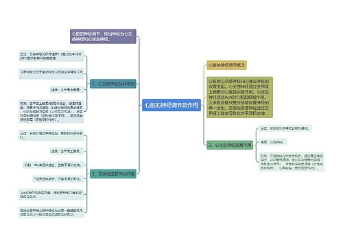 心脏的神经调节及作用