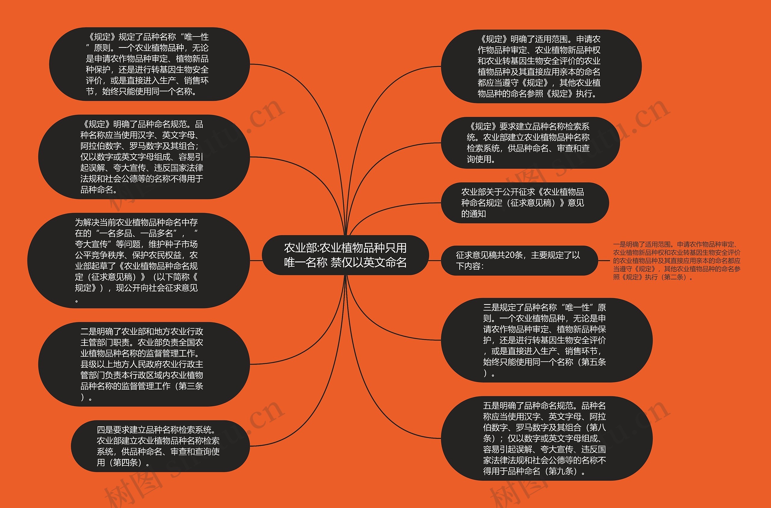 农业部:农业植物品种只用唯一名称 禁仅以英文命名思维导图