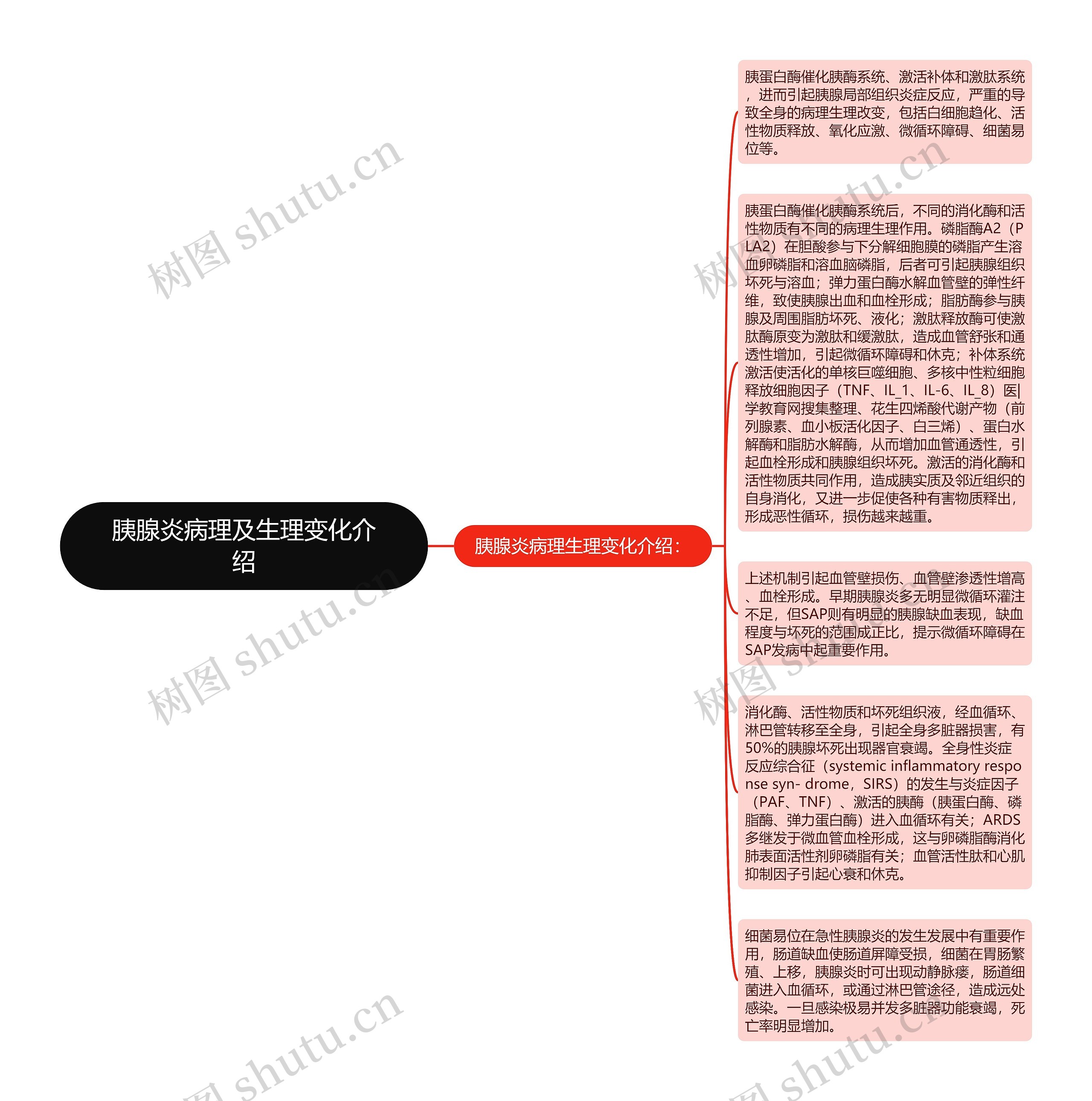 胰腺炎病理及生理变化介绍思维导图