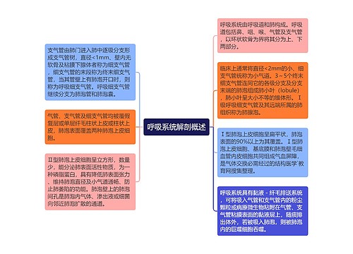 呼吸系统解剖概述