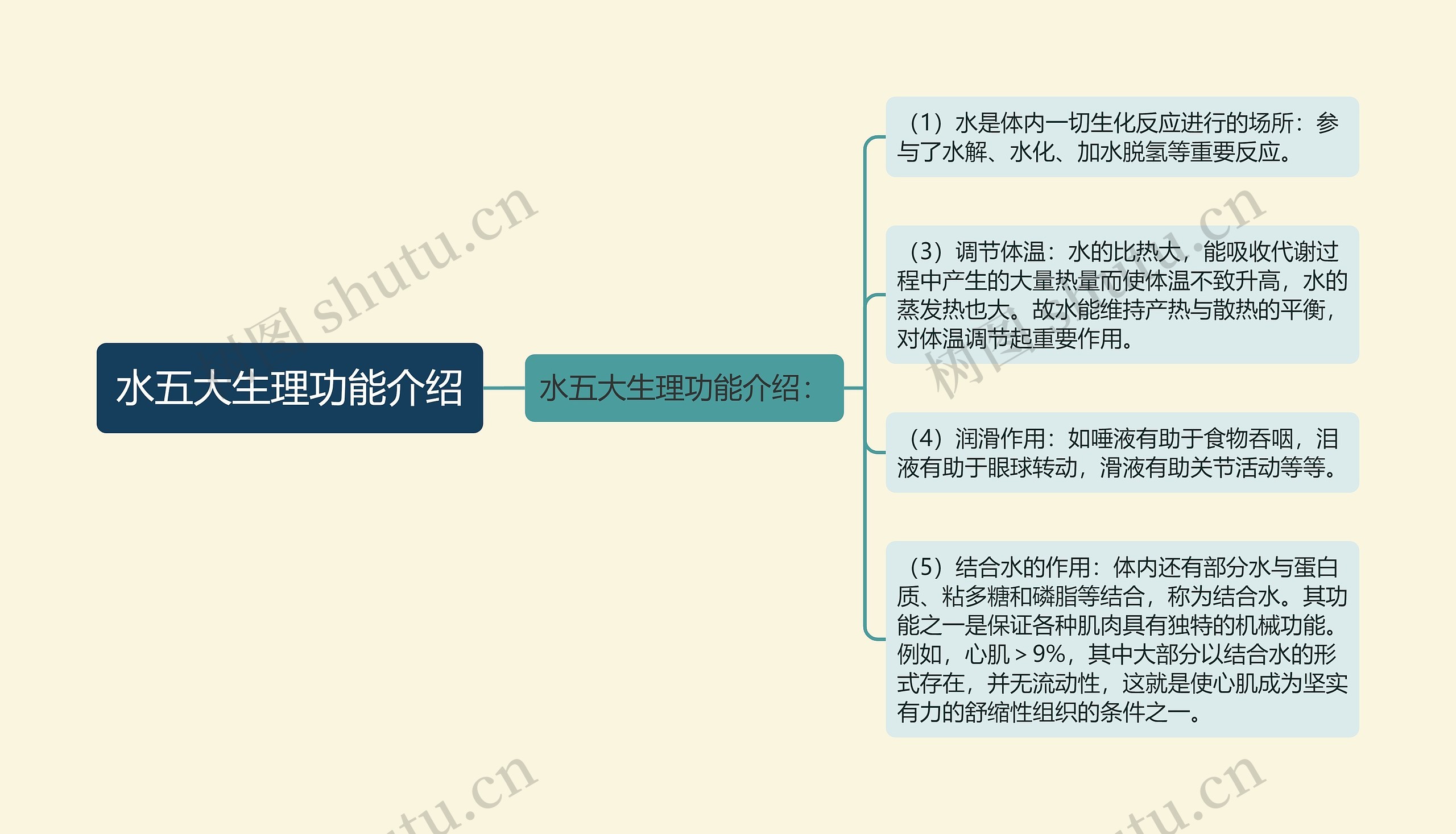 水五大生理功能介绍思维导图