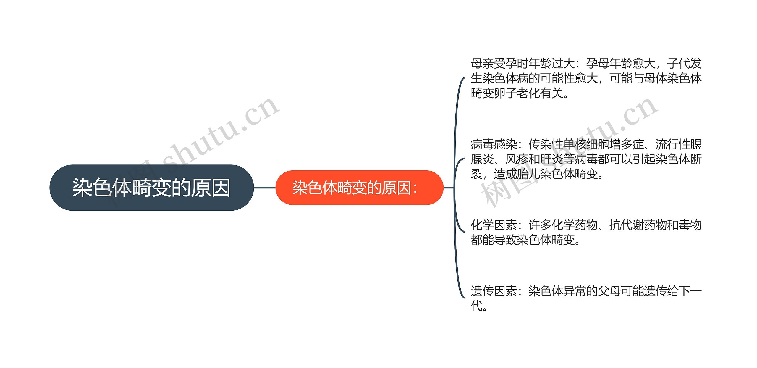 染色体畸变的原因思维导图