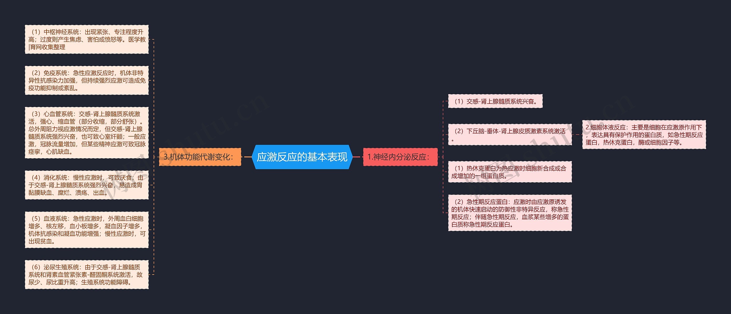 应激反应的基本表现