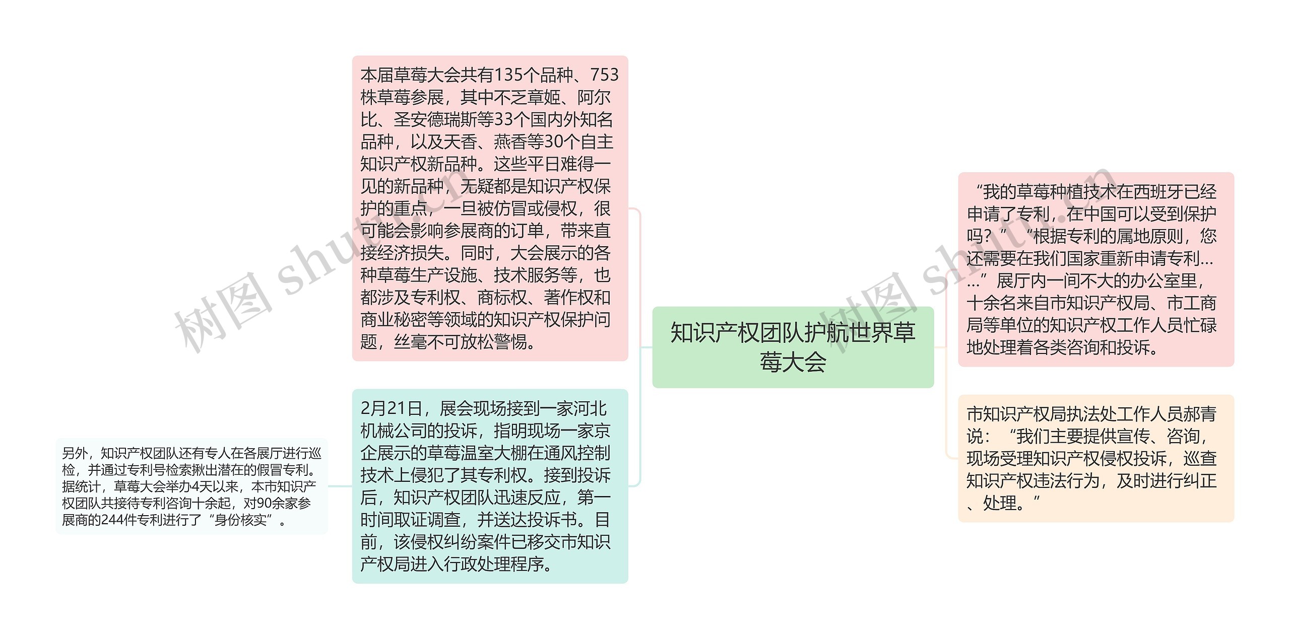 知识产权团队护航世界草莓大会思维导图