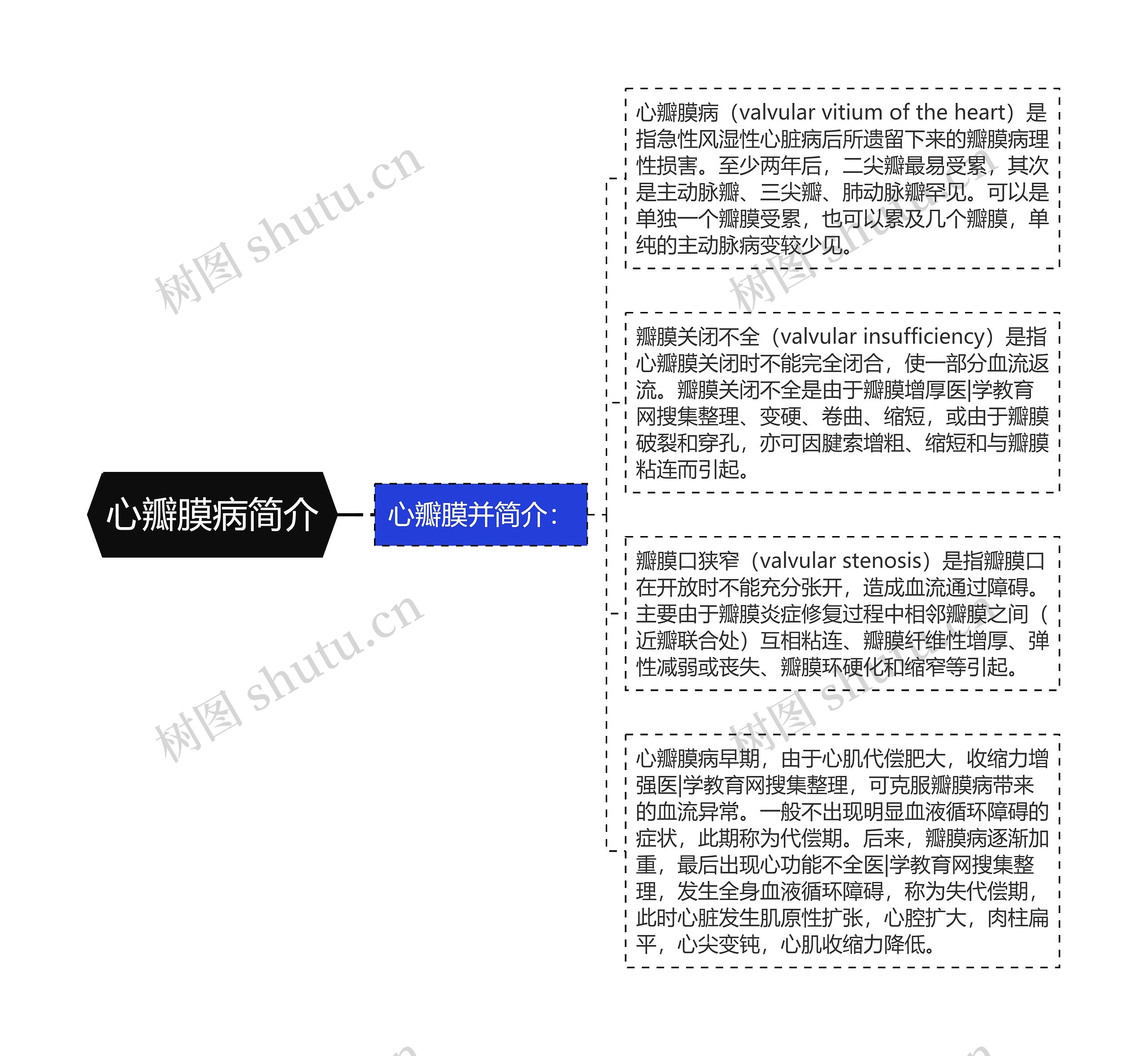 心瓣膜病简介