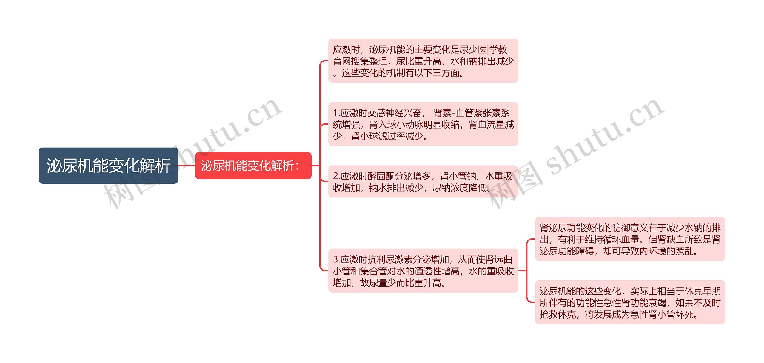 泌尿机能变化解析思维导图