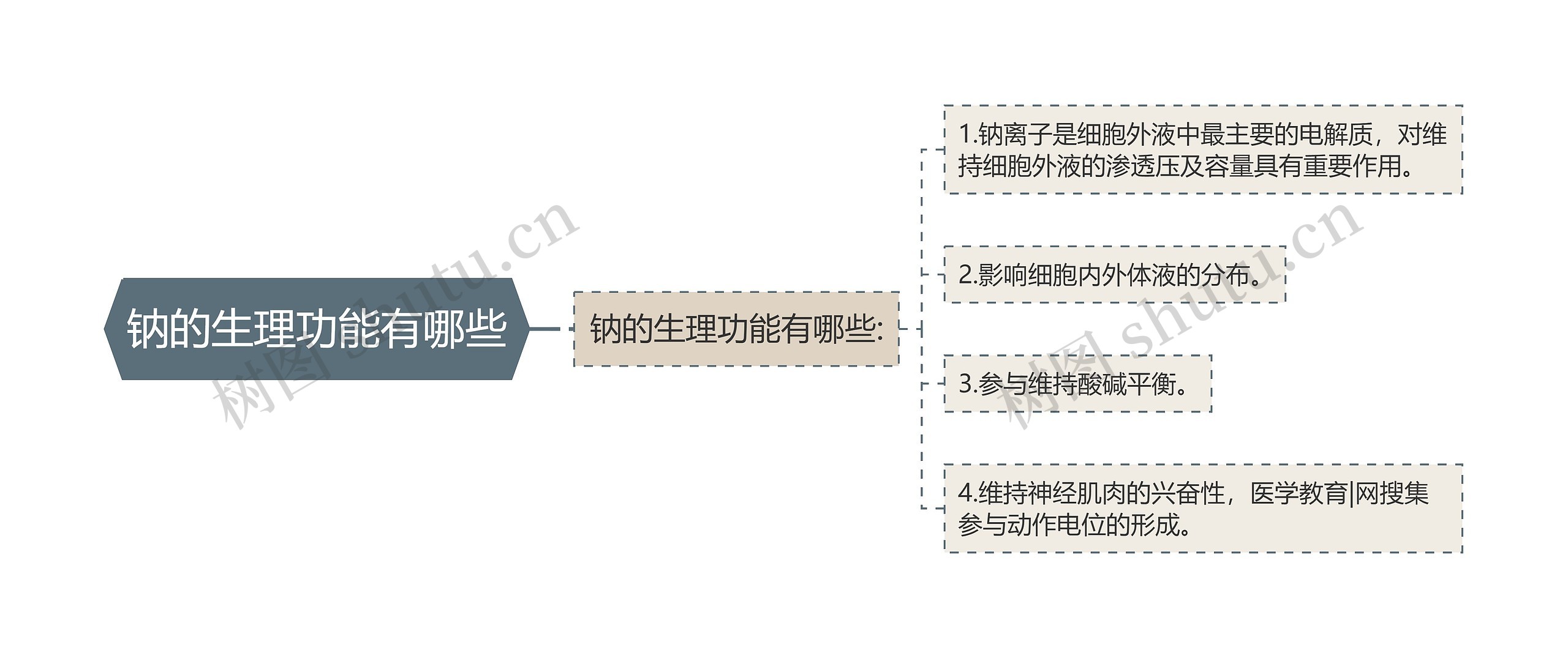 钠的生理功能有哪些 钠的生理功能有哪些