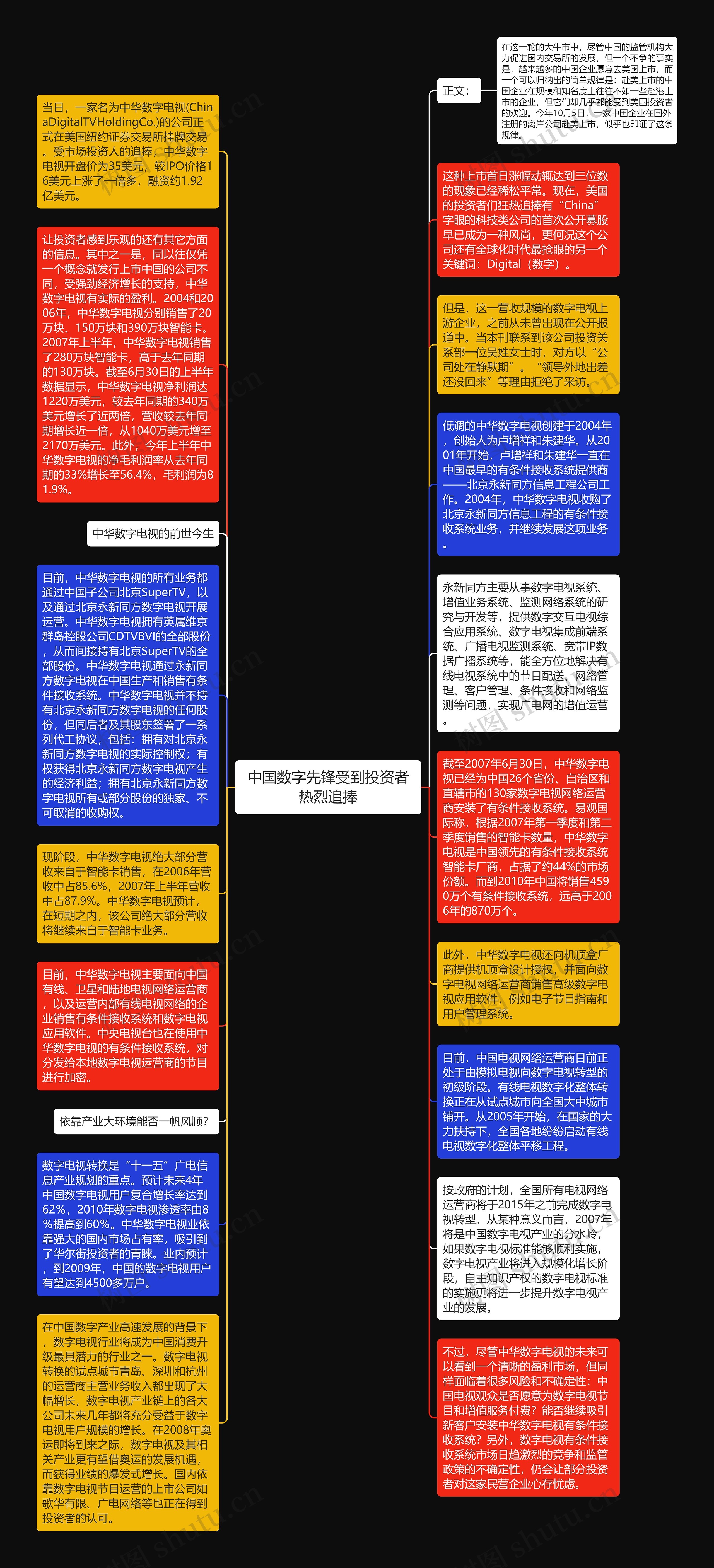 中国数字先锋受到投资者热烈追捧思维导图