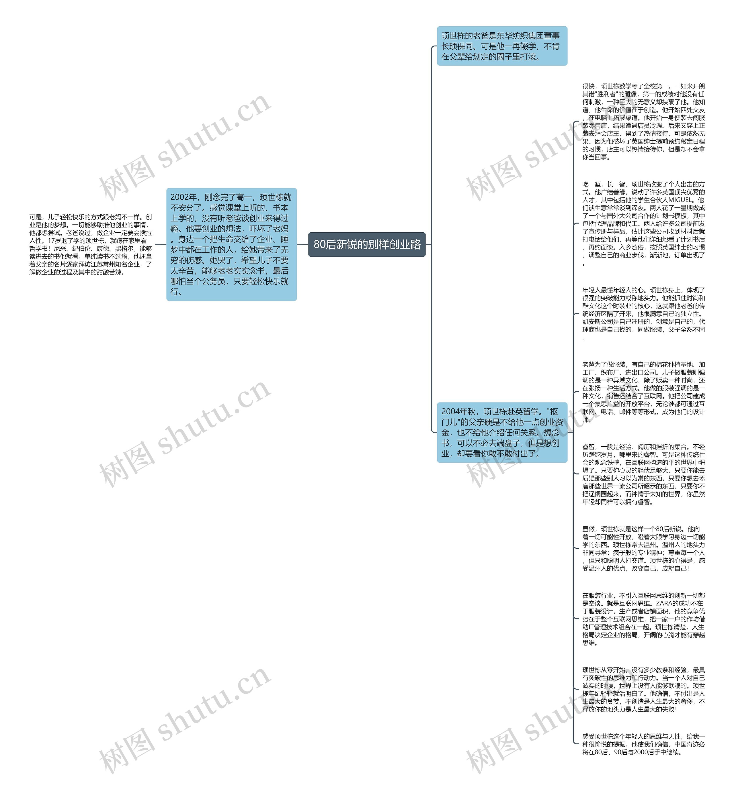 80后新锐的别样创业路思维导图