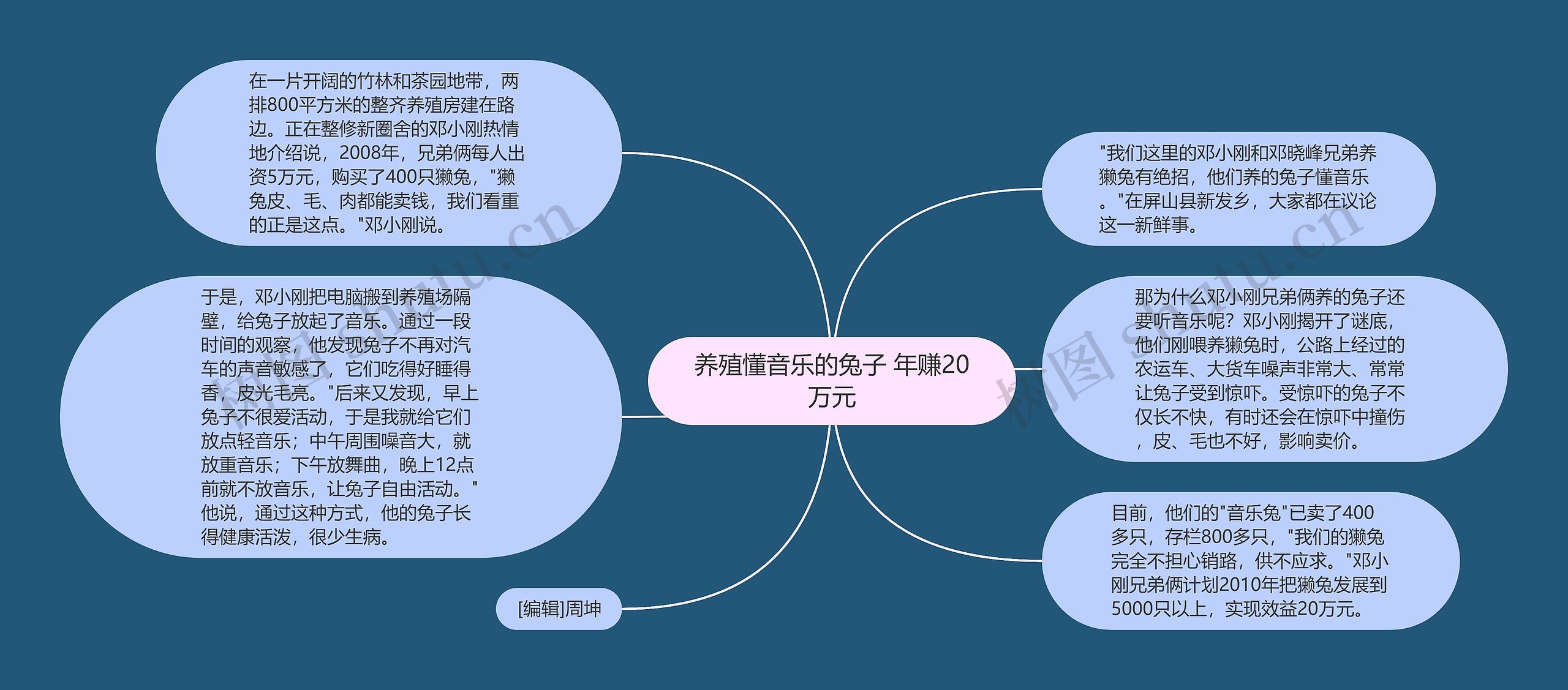 养殖懂音乐的兔子 年赚20万元思维导图