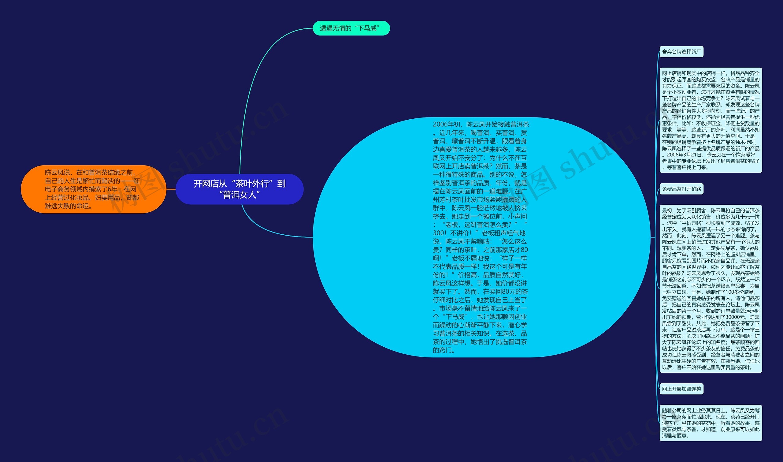 开网店从“茶叶外行”到“普洱女人”思维导图
