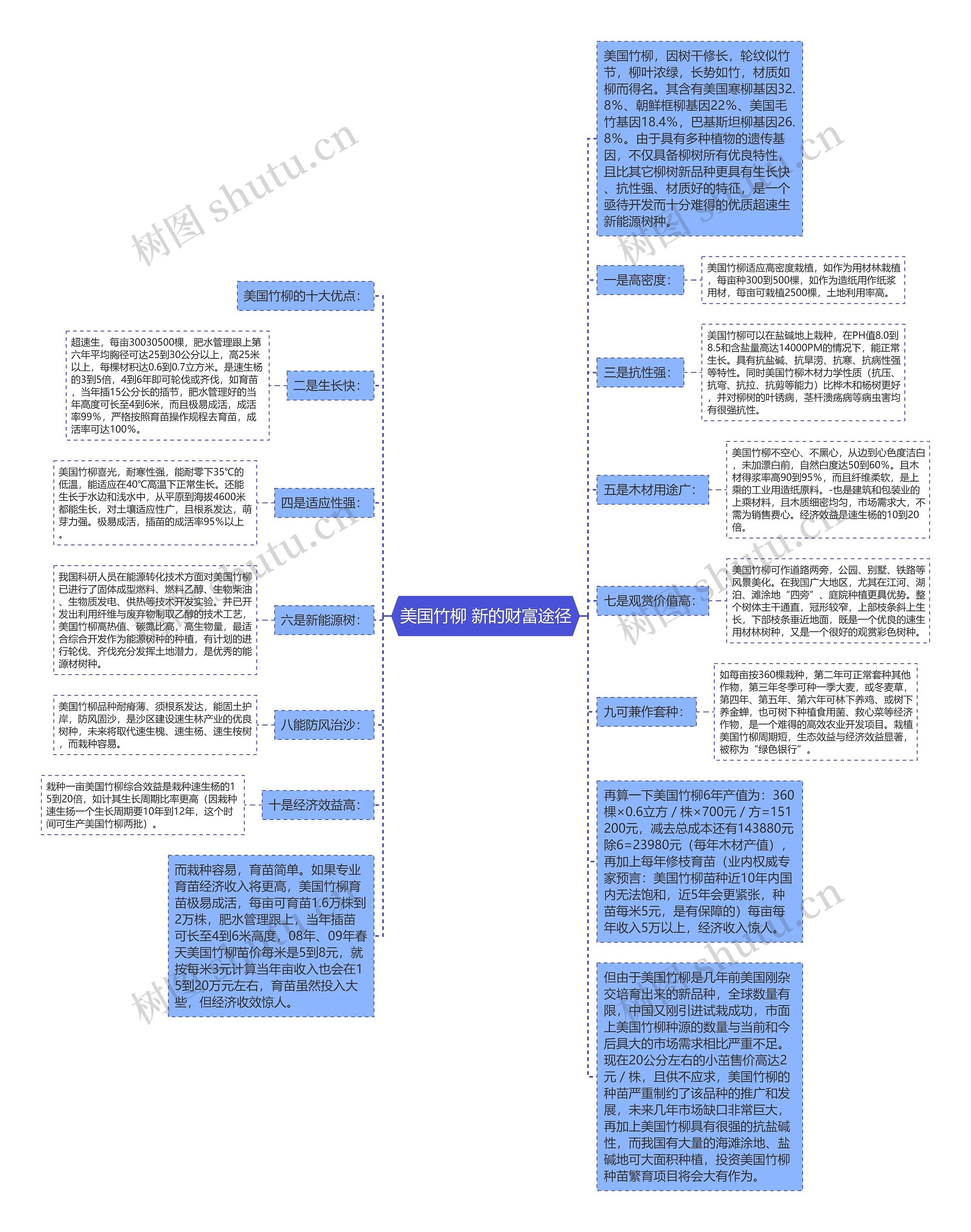 美国竹柳 新的财富途径思维导图