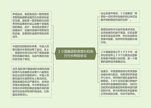 ２０国集团财政部长和央行行长特别会议