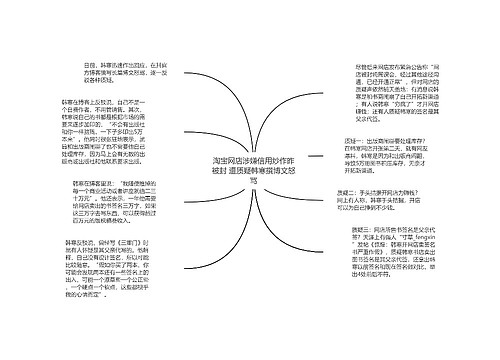 淘宝网店涉嫌信用炒作昨被封 遭质疑韩寒撰博文怒骂