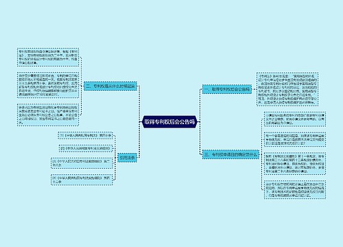 取得专利权后会公告吗