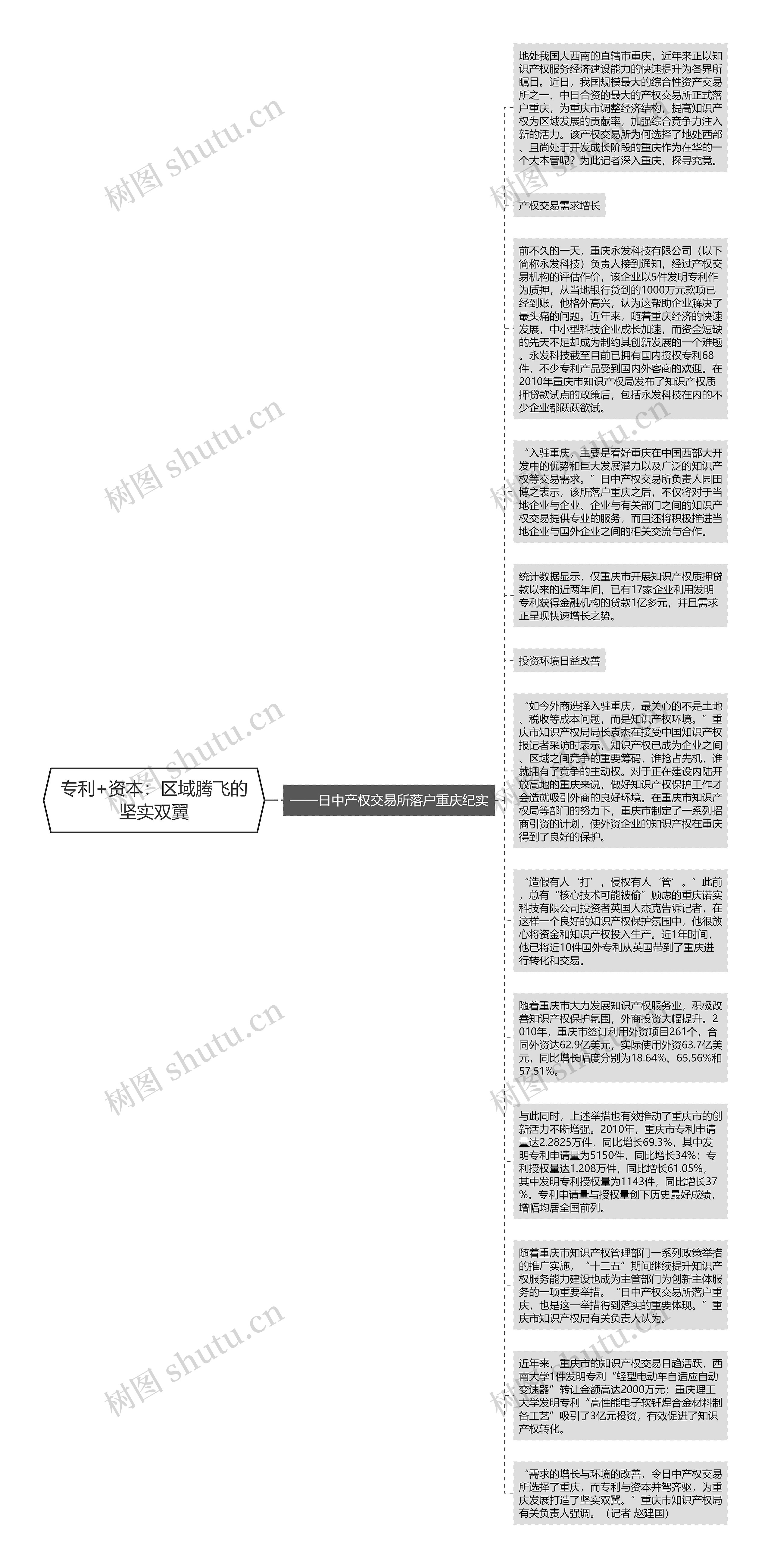 专利+资本：区域腾飞的坚实双翼思维导图