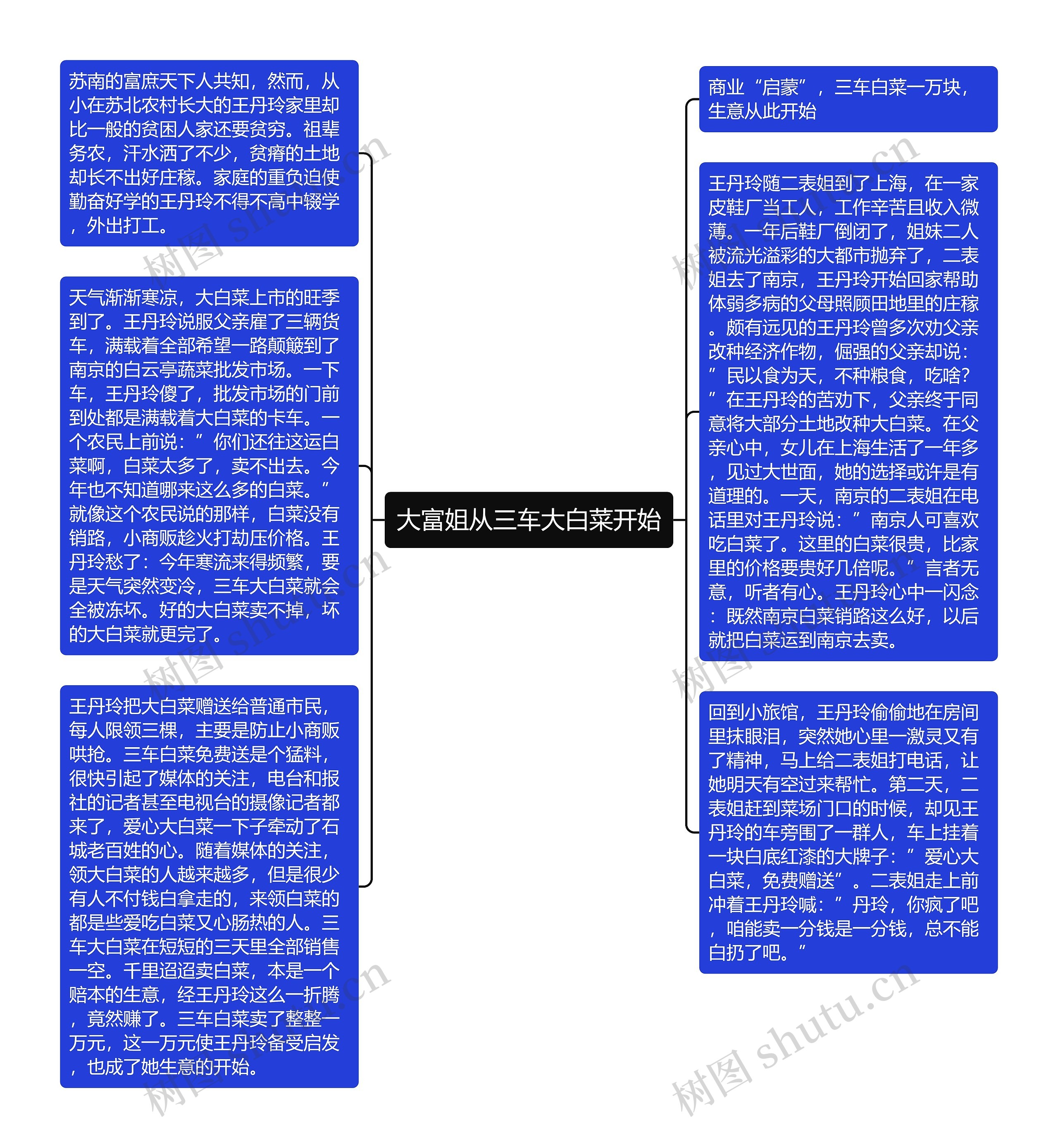 大富姐从三车大白菜开始思维导图