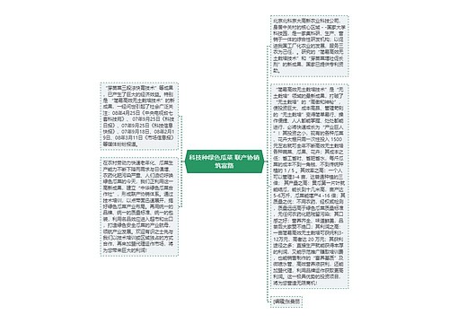 科技种绿色瓜菜 联产协销筑富路