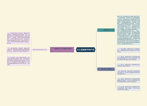 什么是国家专利产品