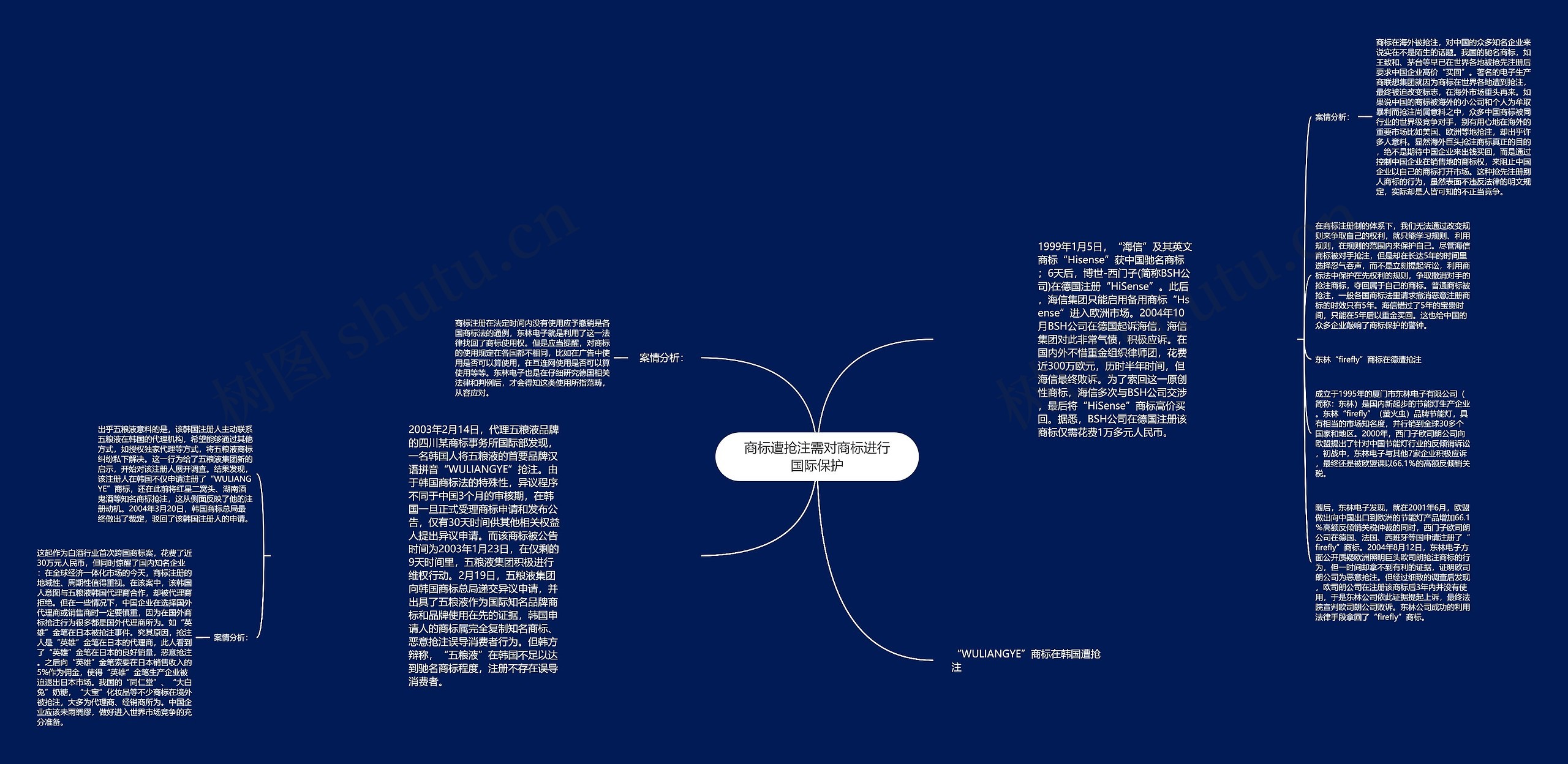 商标遭抢注需对商标进行国际保护思维导图