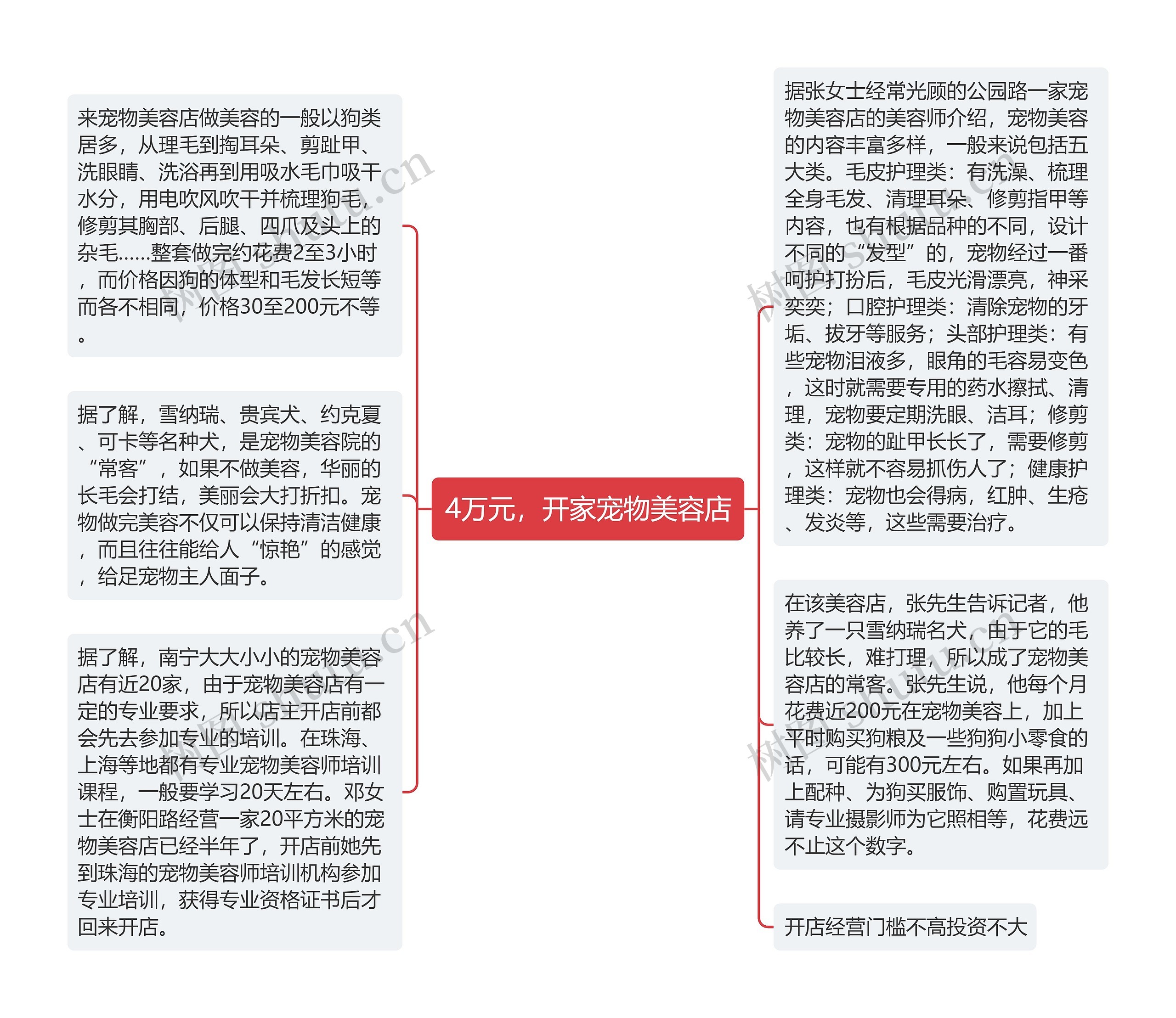 4万元，开家宠物美容店思维导图