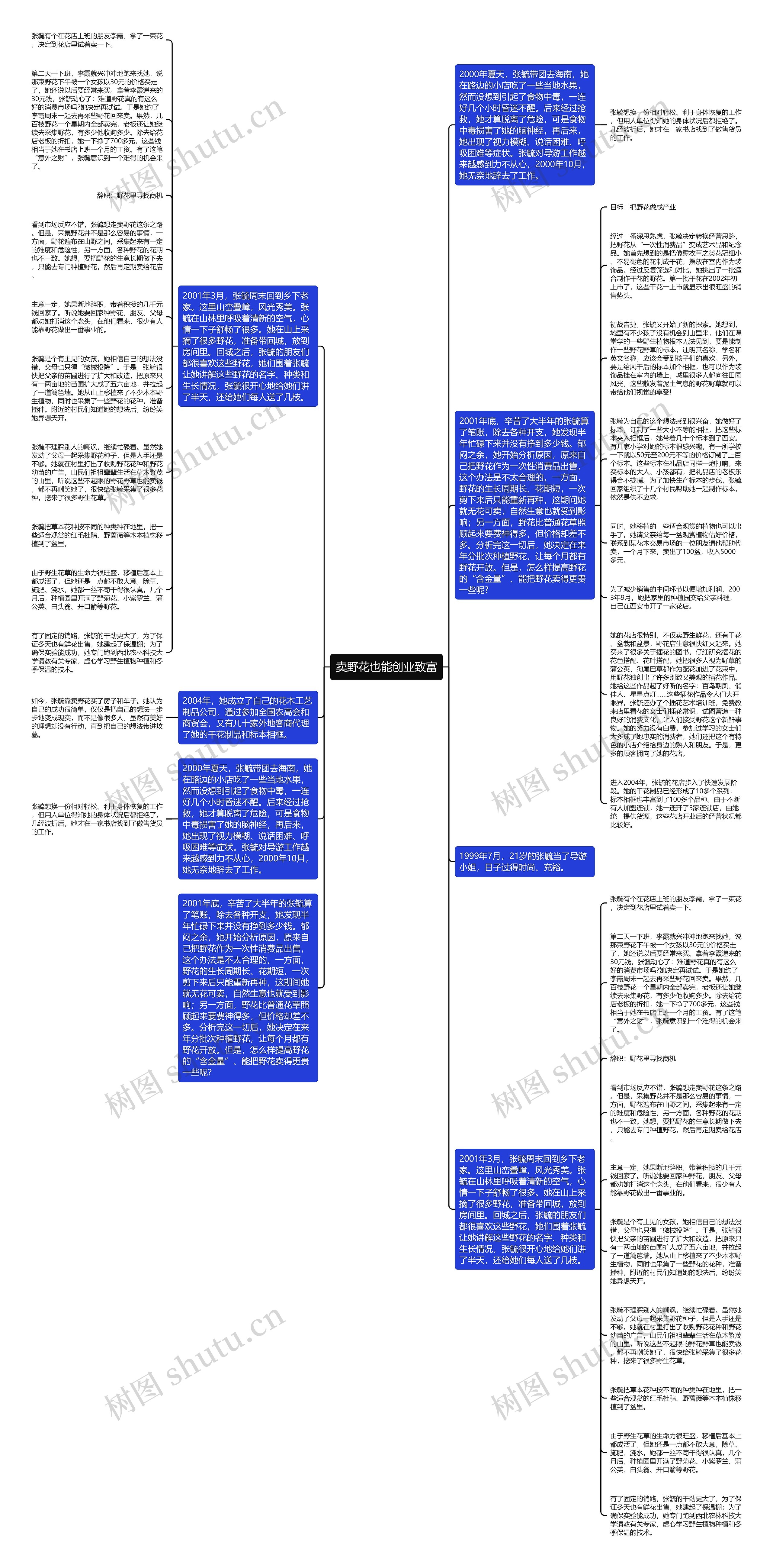 卖野花也能创业致富思维导图