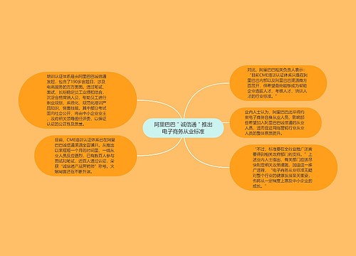 阿里巴巴＂诚信通＂推出电子商务从业标准