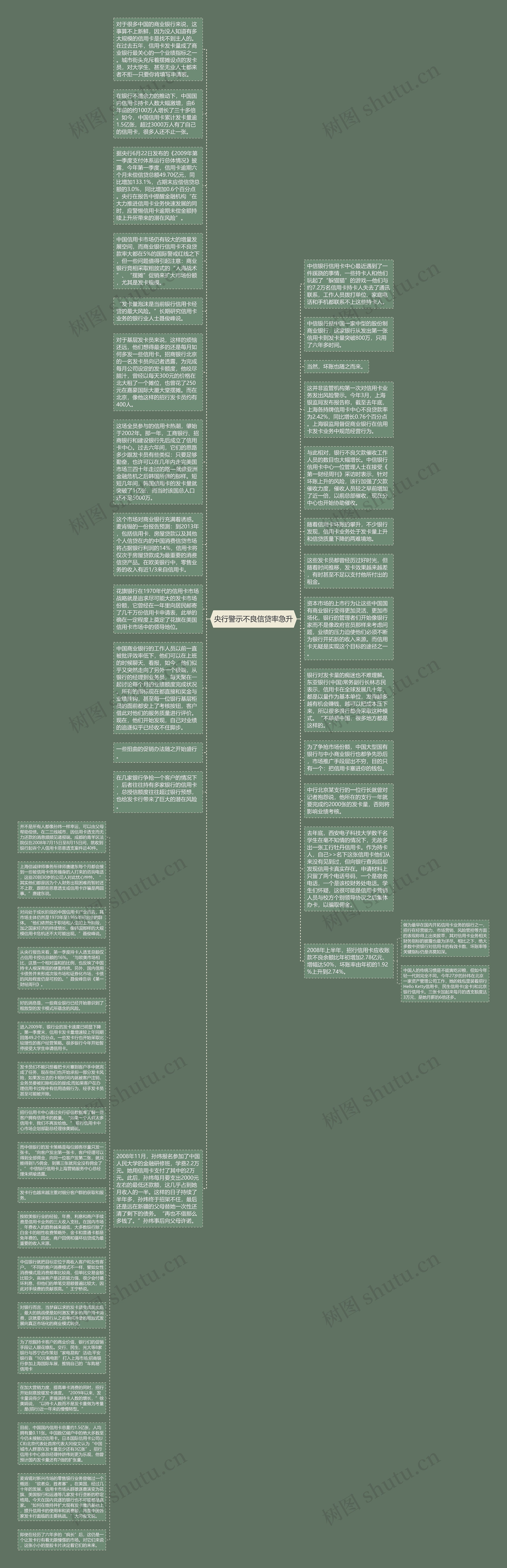 央行警示不良信贷率急升思维导图