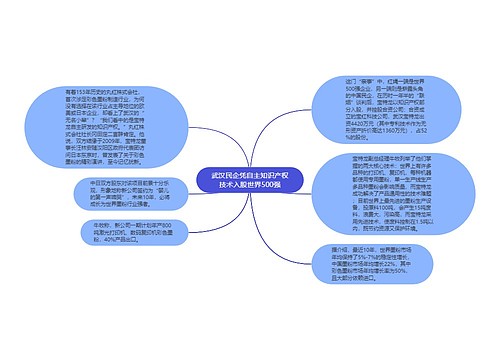 武汉民企凭自主知识产权技术入股世界500强