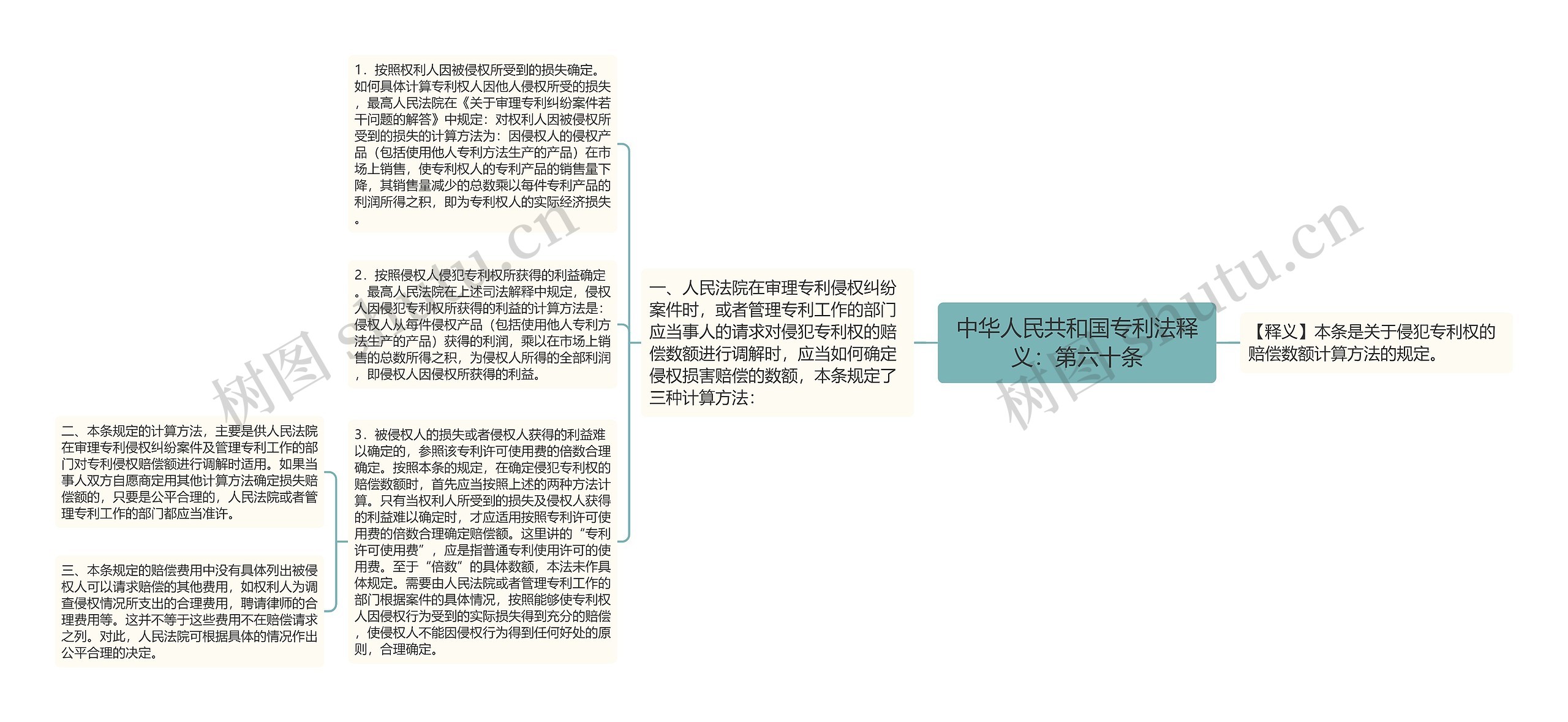 中华人民共和国专利法释义：第六十条思维导图