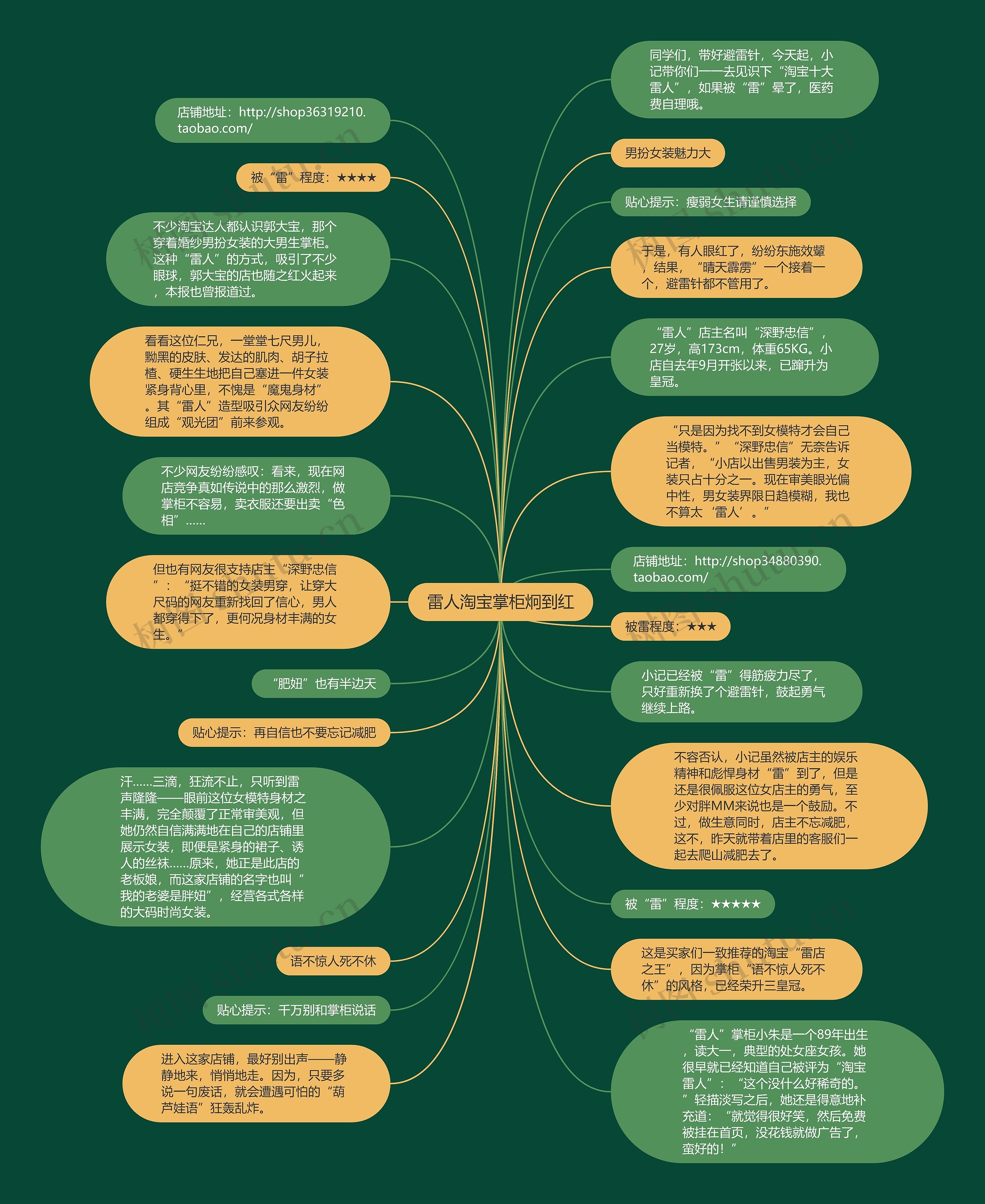 雷人淘宝掌柜炯到红思维导图