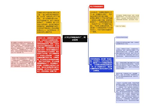 大学生开棉鞋制作厂，网店销售