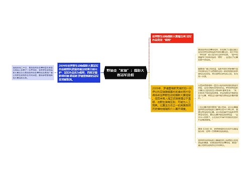 野狼变“家狼”：摄影大赛冠军造假