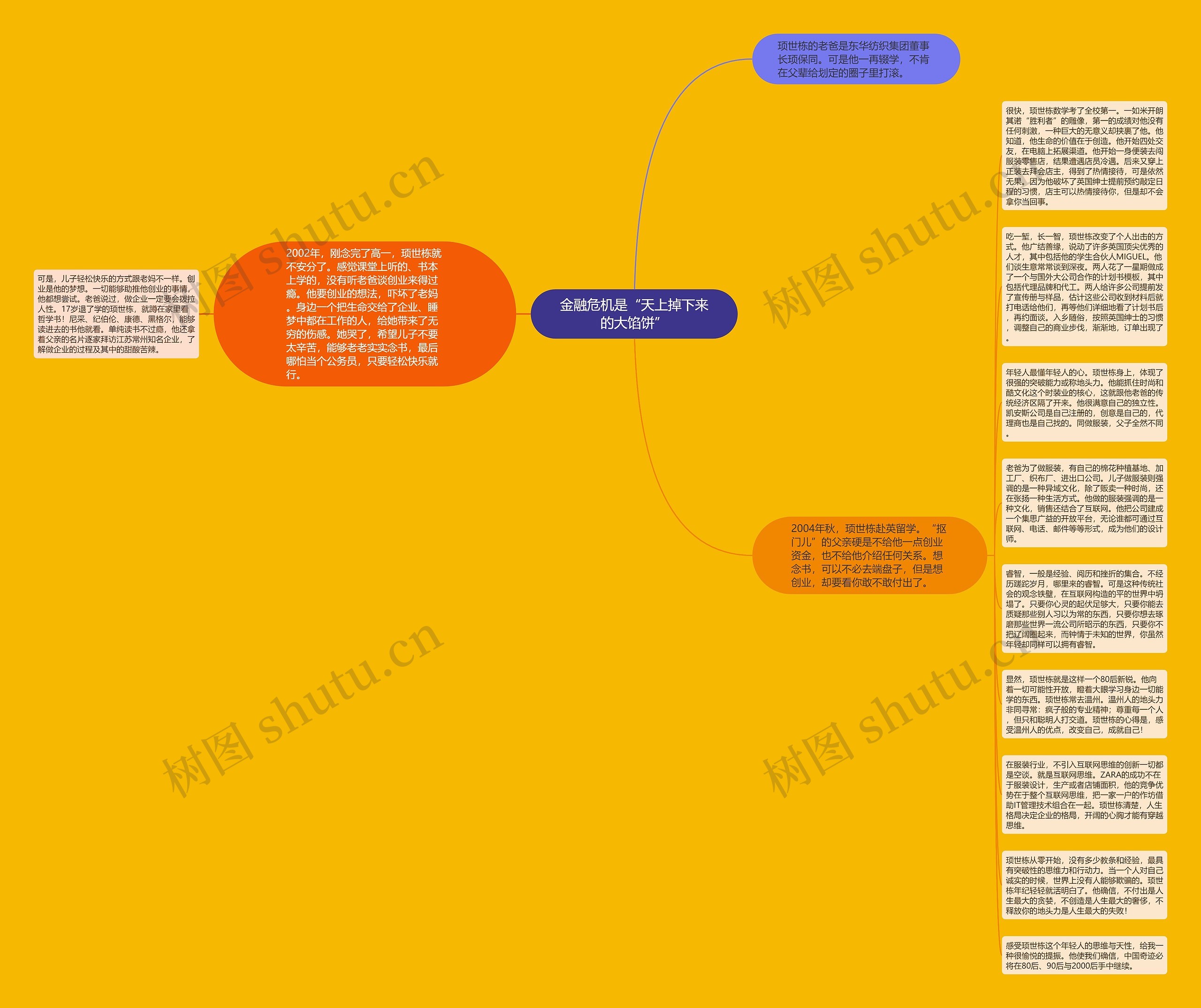 金融危机是“天上掉下来的大馅饼”思维导图