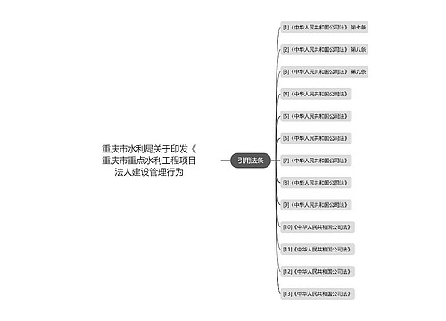 重庆市水利局关于印发《重庆市重点水利工程项目法人建设管理行为