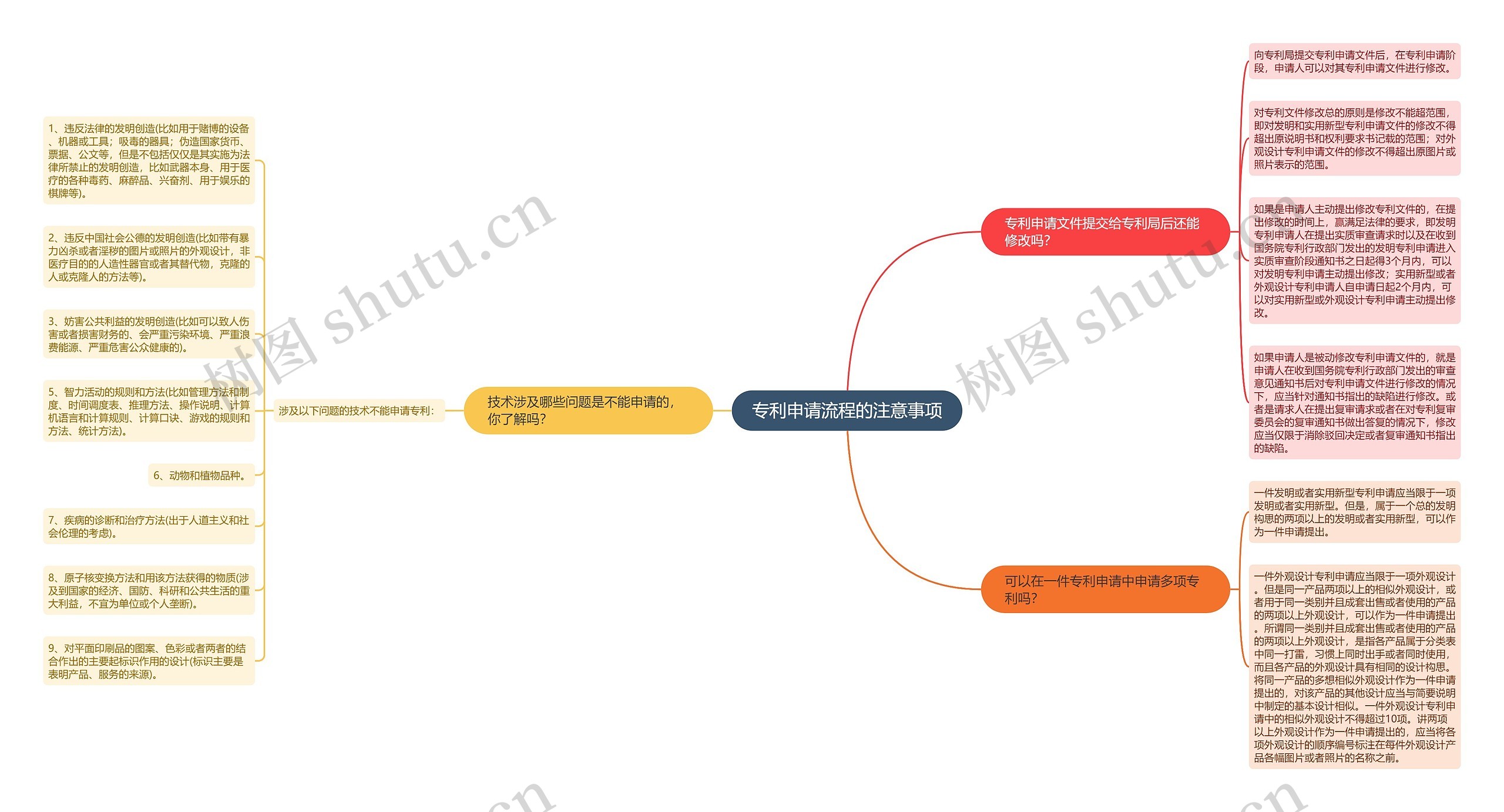 专利申请流程的注意事项思维导图