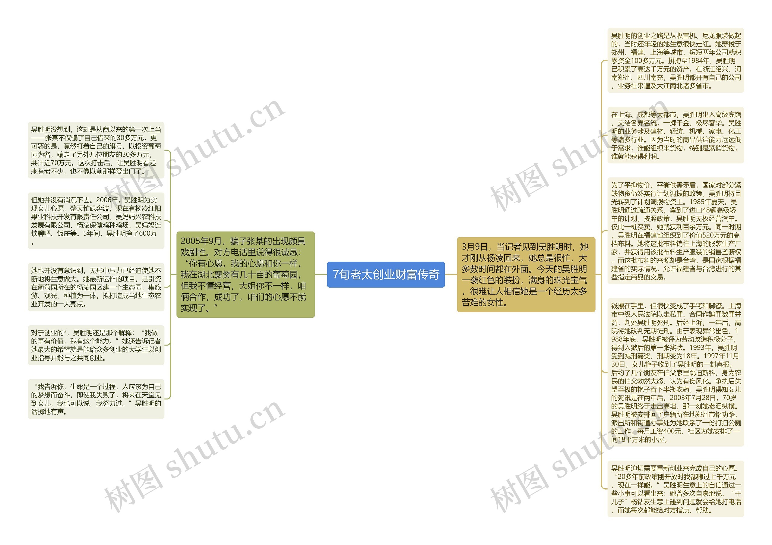 7旬老太创业财富传奇思维导图