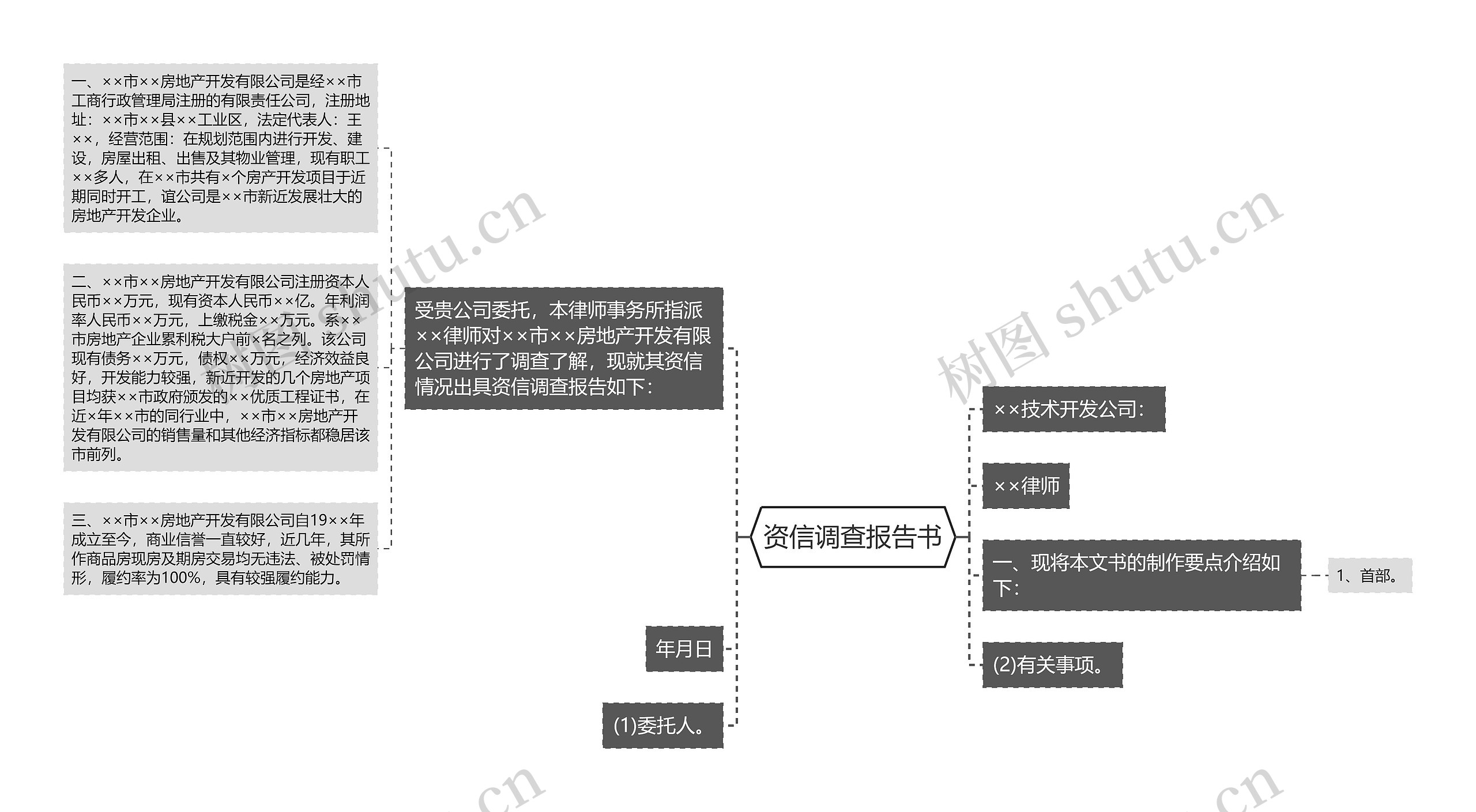 资信调查报告书思维导图