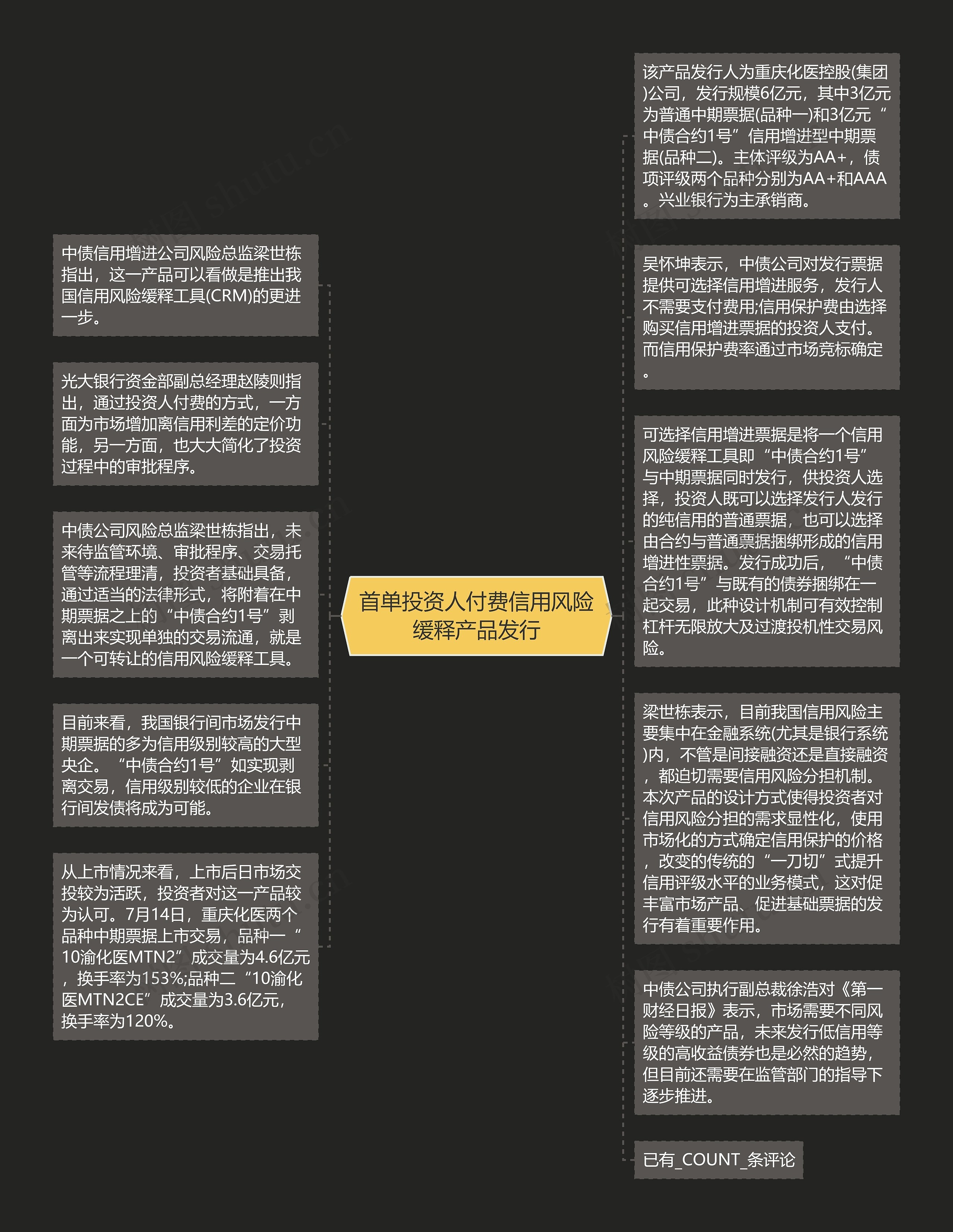 首单投资人付费信用风险缓释产品发行思维导图