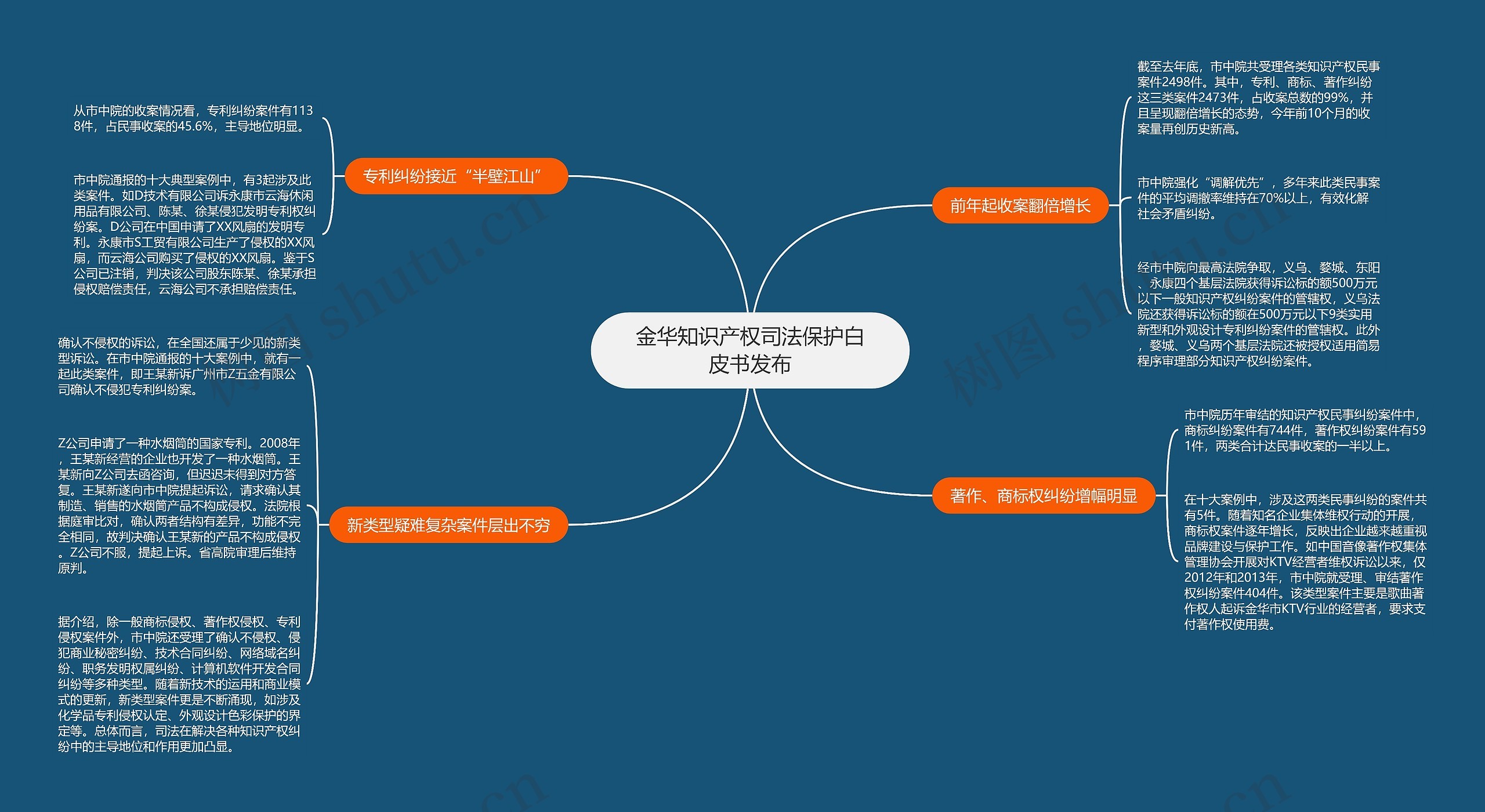 金华知识产权司法保护白皮书发布思维导图