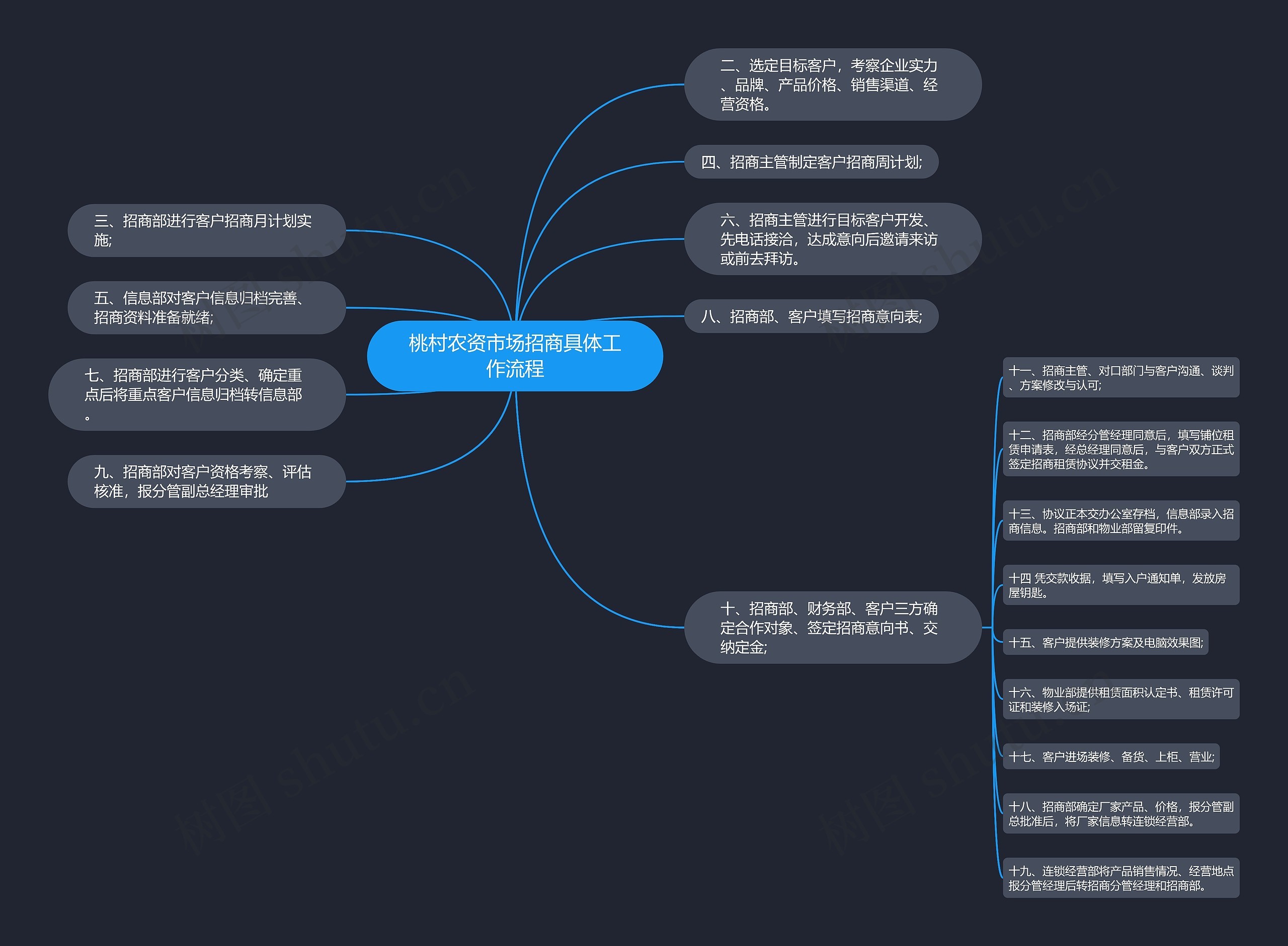 桃村农资市场招商具体工作流程思维导图