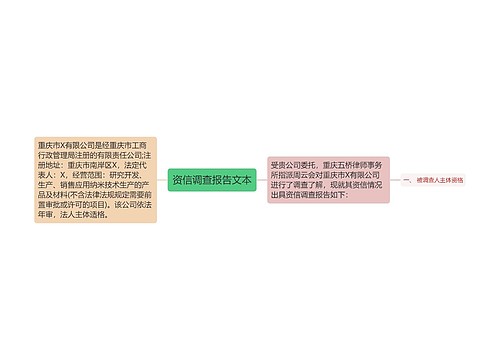 资信调查报告文本